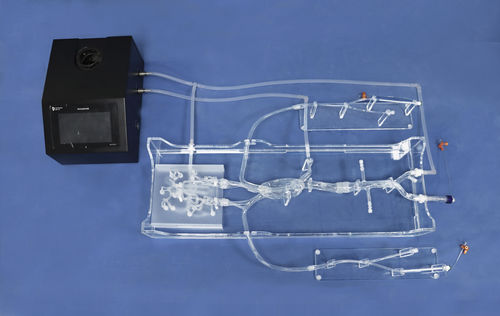 Внутричерепная анатомическая модель - SJK001D1 - Trando 3D Medical Technology - артерии / сонной артерии / мини-инвазивной хирургии