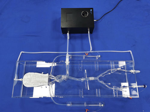 Модель кровеносных сосудов неврология - SJX013 - Trando 3D Medical Technology - внутричерепная / кровеносных сосудов / мини-инвазивной хирургии
