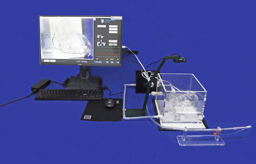 Учебный медицинский симулятор - XX002D - Trando 3D Medical Technology - для катетеризации / для коронарного шунтирования / для кардиологической хирургии