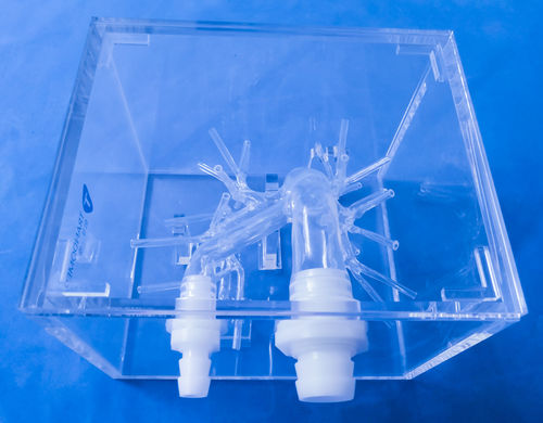 Анатомическая модель артерии - XX-13D - Trando 3D Medical Technology - учебная / прозрачная