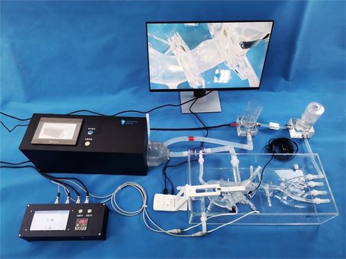 Учебный медицинский симулятор - XXK005D-1 - Trando 3D Medical Technology - для сосудистой хирургии / артерии / для аортального клапана