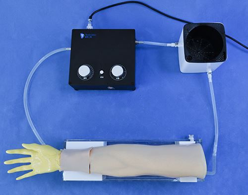Учебный медицинский симулятор - RC011 - Trando 3D Medical Technology - для пункций / для чрескожного коронарного вмешательства / для хирургии