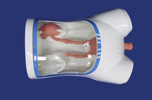 Анатомическая модель таз - MN-02 - Trando 3D Medical Technology - почки / мочевого пузыря / мочеточника