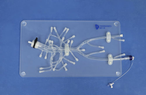 Абдоминальная анатомическая модель - FB003D - Trando 3D Medical Technology - учебная / прозрачная / с устройством управления