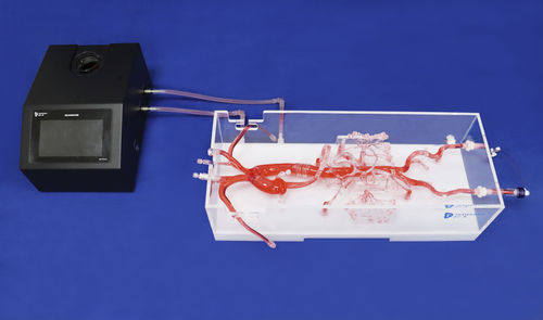 Абдоминальная анатомическая модель - FBD001 - Trando 3D Medical Technology - кровеносных сосудов / для сосудистой хирургии / учебная