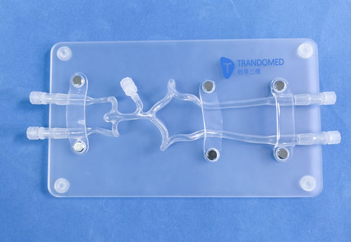 Анатомическая модель артерии - SJK009D - Trando 3D Medical Technology - мозговая / нерва / кровеносных сосудов