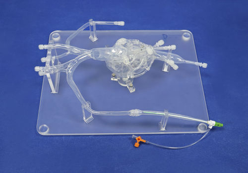 Модель кровеносных сосудов бедренной артерии - XXD010 - Trando 3D Medical Technology - коронарных артерий / для брюшной аорты / для подвздошной артерии