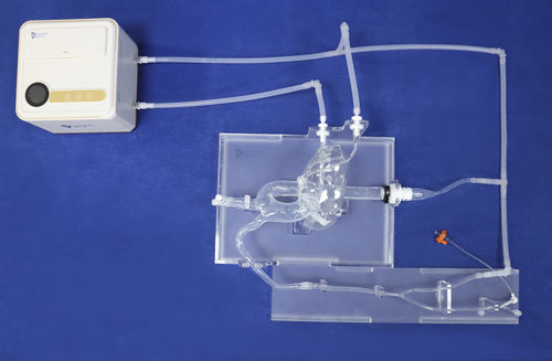 Модель кровеносных сосудов коронарных артерий - XXD003-01 - Trando 3D Medical Technology - сонной артерии / для кардиологической хирургии / учебная