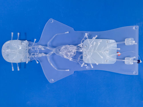Ангиографическая анатомическая модель - QS002D-1 - Trando 3D Medical Technology - бедренной артерии / передней мозговой артерии / коронарных артерий