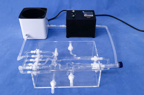 Модель кровеносных сосудов кровеносных сосудов - SJK002D - Trando 3D Medical Technology - артерии / внутричерепная / нерва