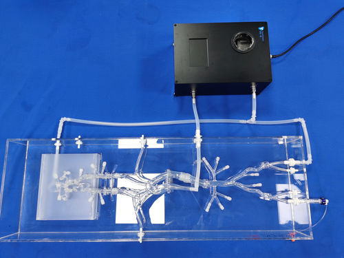 Внутричерепная модель кровеносных сосудов - SJX006-3 - Trando 3D Medical Technology - кровеносных сосудов / брюшная полость / мини-инвазивной хирургии