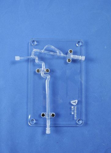 Анатомическая модель артерии - SJJ004D - Trando 3D Medical Technology - сонной артерии / кровеносных сосудов / для нейрохирургии