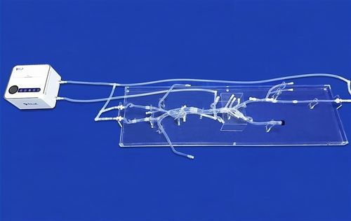 Модель кровеносных сосудов всего тела - FAX015D - Trando 3D Medical Technology - сердечно-сосудистой системы / артерии / кровеносных сосудов