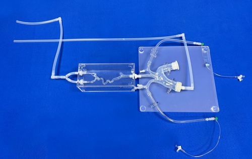 Модель кровеносных сосудов кровеносных сосудов - SJX006 - Trando 3D Medical Technology - всего тела / мини-инвазивной хирургии / учебная