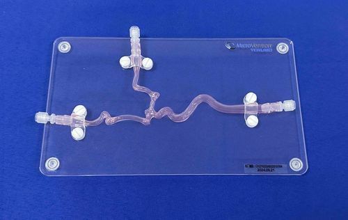 Анатомическая модель сонной артерии - SJX006D - Trando 3D Medical Technology - кровеносных сосудов / для нейрохирургии / учебная