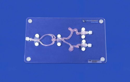Мозговая модель кровеносных сосудов - SJX005D - Trando 3D Medical Technology - внутричерепная / кровеносных сосудов / для нейрохирургии