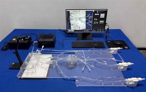 Медицинский симулятор для пункций - SJZ002D - Trando 3D Medical Technology - ангиографический / учебный / для оказания общей помощи