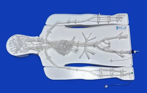 Внутричерепная модель кровеносных сосудов - FAC007D - Trando 3D Medical Technology - сердца / брюшная полость / для торакальной зоны