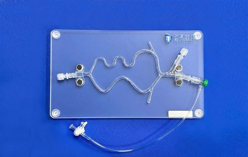 Модель кровеносных сосудов нервной системы - SJV015 - Trando 3D Medical Technology - мозга / мозговая / внутричерепная