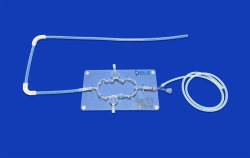 Модель кровеносных сосудов нервной системы - SJV008 - Trando 3D Medical Technology - мозга / мозговая / внутричерепная