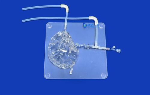 Модель кровеносных сосудов мозга - SJV003 - Trando 3D Medical Technology - мозговая / черепа / внутричерепная