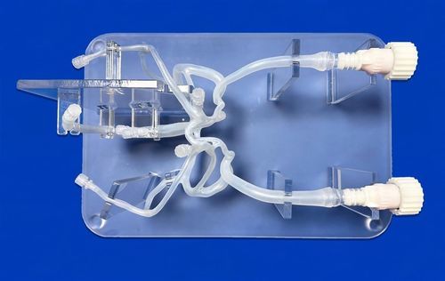 Модель кровеносных сосудов нервной системы - SJV007 - Trando 3D Medical Technology - мозга / мозговая / внутричерепная
