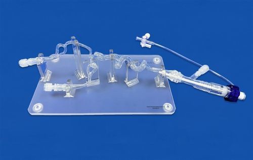 Внутричерепная модель кровеносных сосудов - SJV021 - Trando 3D Medical Technology - сонной артерии / передней мозговой артерии / средней мозговой артерии