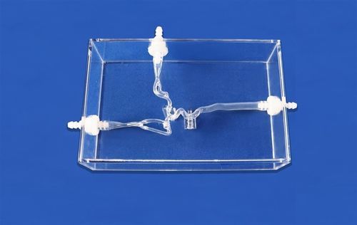 Модель кровеносных сосудов мозга - SJV005 - Trando 3D Medical Technology - мозговая / внутричерепная / артерии