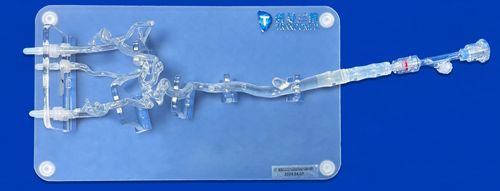 Модель кровеносных сосудов сонной артерии - SJV006 - Trando 3D Medical Technology - передней мозговой артерии / средней мозговой артерии / для катетеризации