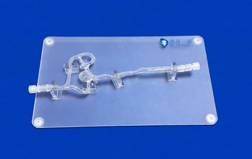 Модель кровеносных сосудов передней мозговой артерии - SJV002 - Trando 3D Medical Technology - средней мозговой артерии / правой внутренней сонной артерии / левой внутренней сонной артерии