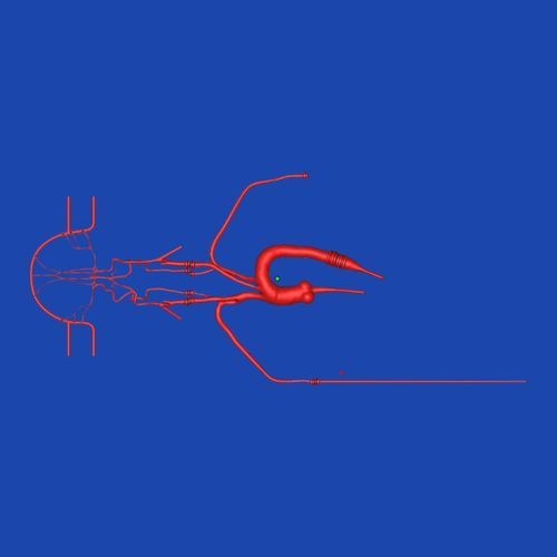 Модель кровеносных сосудов всего тела - SJ001D-019 - Trando 3D Medical Technology - кровеносных сосудов / учебная / прозрачная