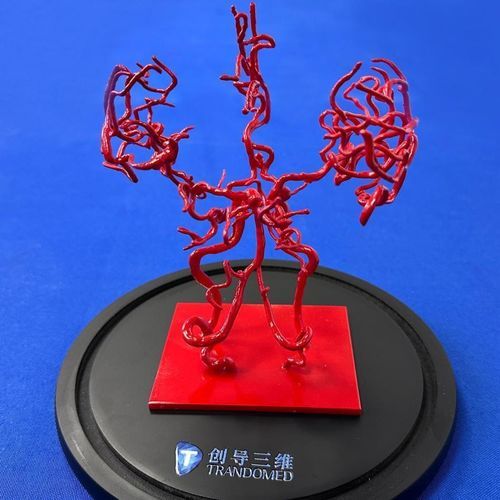 Мозговая модель кровеносных сосудов - YZ002 - Trando 3D Medical Technology - учебная / прозрачная / гибкая