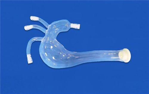 Модель кровеносных сосудов левой общей сонной артерии - XXS009 - Trando 3D Medical Technology - левой подключичной артерии / брахиоцефального ствола / грудной аорты