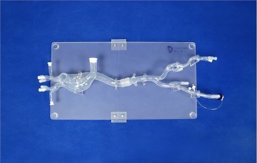 Модель кровеносных сосудов бедренной артерии - XXD019 - Trando 3D Medical Technology - грудной аорты / для подвздошной артерии / для брюшной аорты