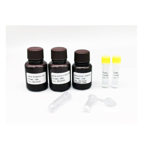 Набор реактивов буферный раствор - MABSKY BIO-TECH CO.，LTD - клинический / для PCR / для нуклеиновых кислот