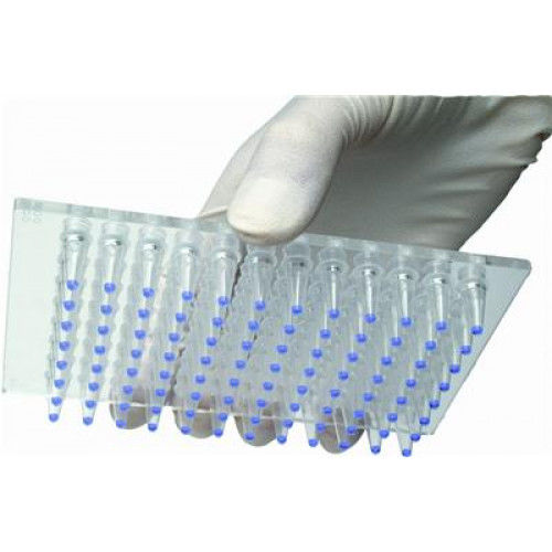 Реактив буферный раствор - Enhancer™ - G-BIOSCIENCES - антитела / для исследований / для протеинов