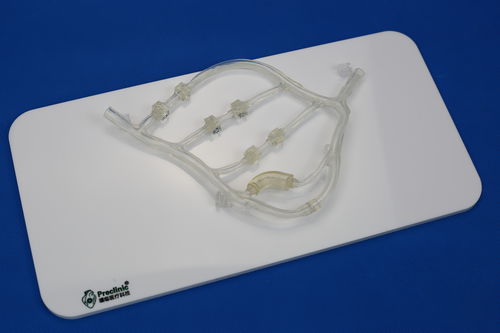 Модель кровеносных сосудов кровеносных сосудов - PLXG1014 - Shanghai Preclinic Medtech - для кардиологической хирургии