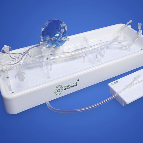 Модель кровеносных сосудов сердца - PLXG1001 - Shanghai Preclinic Medtech - грудной аорты / бедренной артерии / кровеносных сосудов