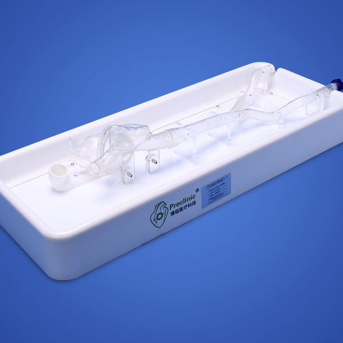 Анатомическая модель сердца - PLXG1012 - Shanghai Preclinic Medtech - полой вены / подвздошной вены / ушная