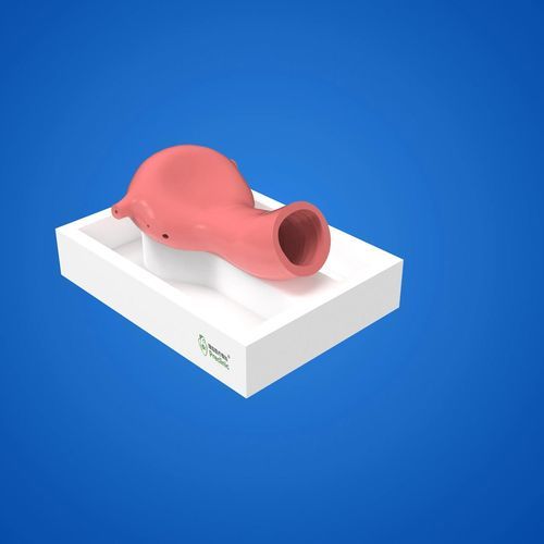 Анатомическая модель мочеточника - PLGQNJ002 - Shanghai Preclinic Medtech - женских половых органов / вагины / матки