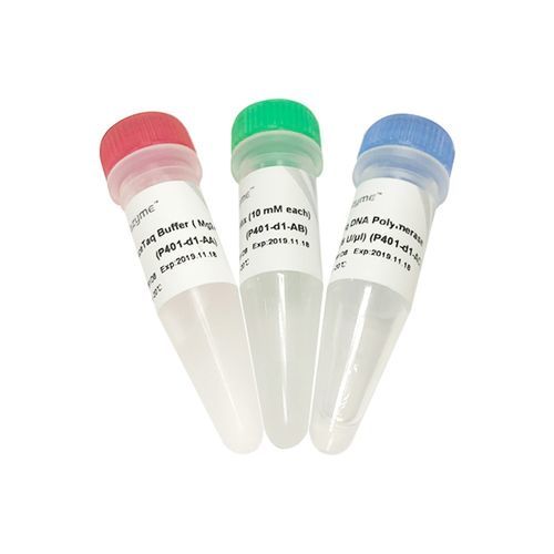 Набор реактивов ДНК-полимераза - AceTaq® - Nanjing Vazyme Medical Technology Co.,Ltd - Taq-полимераза / для подготовки проб