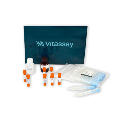 Набор для теста на инфекционные заболевания - VITASSAY HEALTHCARE S.L. - бактерия Helicobacter pylori / для кала / для фекалий