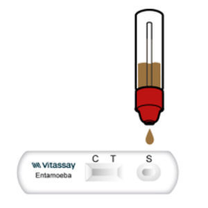 Экспресс-тест на дизентерийную амёбу - VITASSAY HEALTHCARE S.L. - на инфекционные заболевания / на антигены / для кала