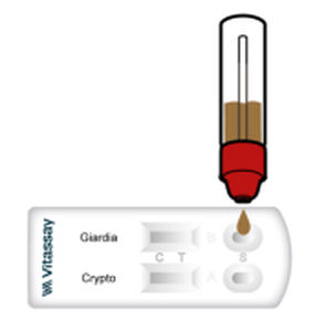 Экспресс-тест на диарею - VITASSAY HEALTHCARE S.L. - лямблиоза / на антигены / на криптоспоридиоз