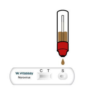 Экспресс-тест на норовирус - VITASSAY HEALTHCARE S.L. - на инфекционные заболевания / на антигены / клинический
