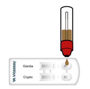 Экспресс-тест на диарею - VITASSAY HEALTHCARE S.L. - лямблиоза / на антигены / бактерии