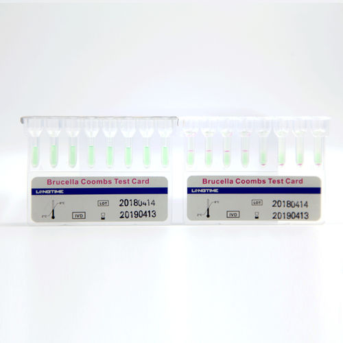 Набор для теста на инфекционные заболевания - Hubei Longtime Biological Technology Co., Ltd. - на бруцеллу / сыворотки / кассетный