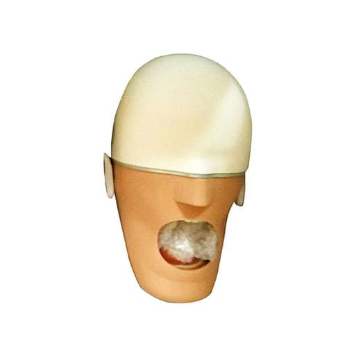 Анатомическая модель лицо -  UM-F01 - Tangshan UMG Medical Instrument - для стоматологии / для образовательных целей / для дренажа