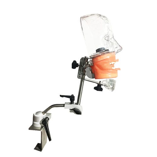 Анатомическая модель головы - UM-L19 - Tangshan UMG Medical Instrument - лицо / для рта / для стоматологии