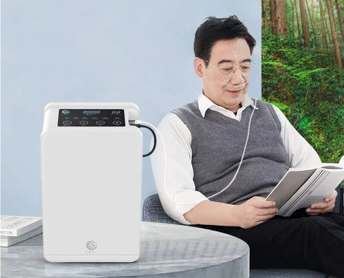 Медицинский концентратор кислорода - Guangzhou Sichuang Hongyi Electronic Technology Co., Ltd - переносной / PSA / с постоянным потоком
